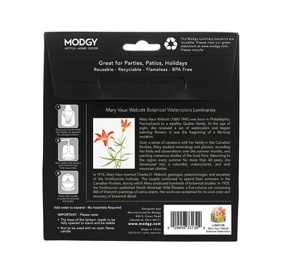 Mary Walcott Botanical Watercolors Luminary - 4 per pack