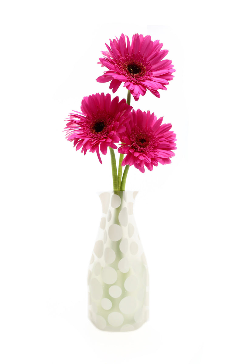 Polkie Vase