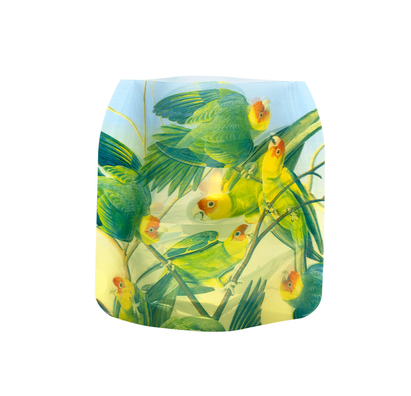 John J. Audubon Carolina Parakeets Luminaries- 4 Per Pack