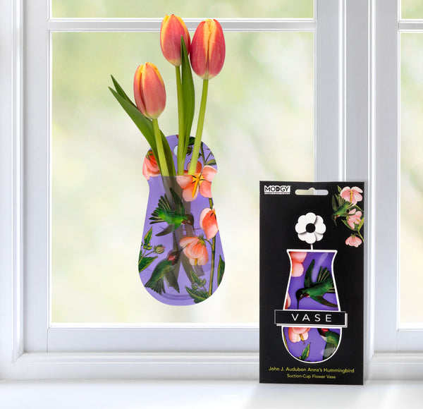 https://www.modgy.com/cdn/shop/products/SCV3012-Hummingbirds_SucVase-window-web_600x.jpg?v=1657857529